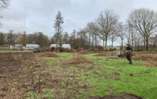 Het indelen en gereedmaken van de tuin